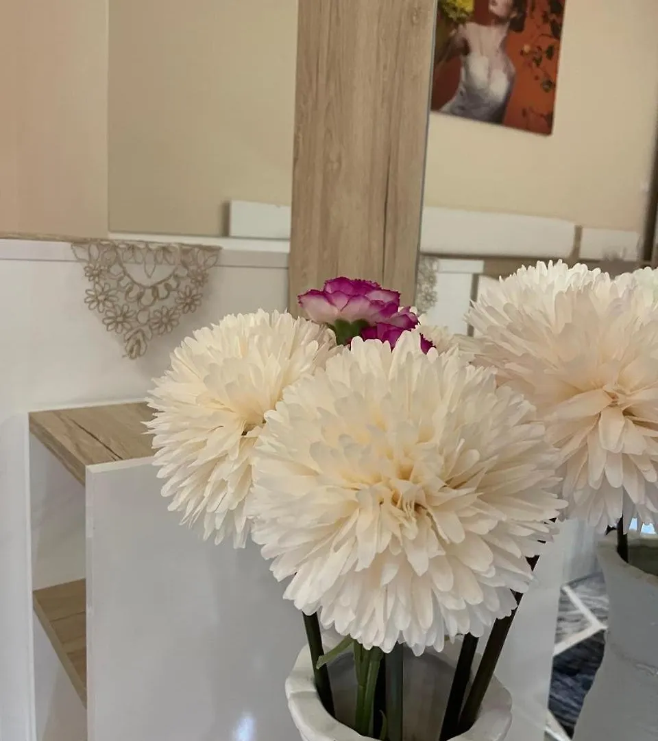 Apartment Sense Apts Tirana